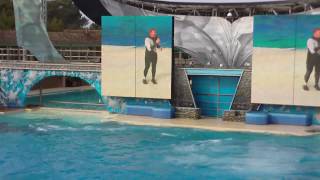 SeaWorld San Diego Shamu Believe Show 2009 Part 3 of 3 in HD [upl. by Ahsenat]