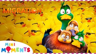 Migration 🐥 🦆  10 Minute Extended Preview  HD  Movie Moments  Mini Moments [upl. by Einalem]