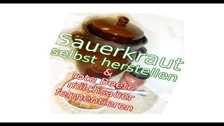 Sauerkraut selber herstellen Fermentieren in Bremen [upl. by Wain774]