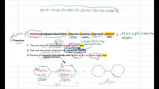 heteropolysaccharides الحصة السادسة شرح العلامة [upl. by Enyrhtak814]