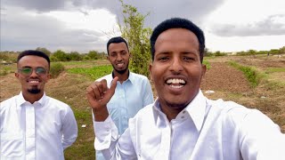 Beeraha arabsiyo amp wadada berbera corridor Somaliland 2022 [upl. by Hgiellek]