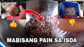 Mabisang pain sa isdang Tilapia  Bangus  Karpa [upl. by Oitaroh]