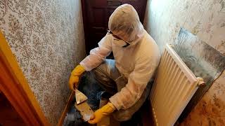 House renovation 2 removing asbestos floor tiles [upl. by Hendrix]