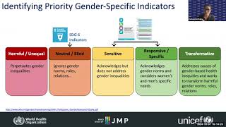 Transforming WASH Data through a Gender Lens English [upl. by Ruiz636]