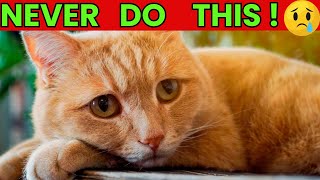 10 Things a Cat Will NEVER Forgive😱3 Is Shocking [upl. by Gena217]