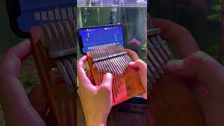 Mocking bird kalimba Jooleerkalimba thumbpiano Jooleermusic kalimbacover [upl. by Dnalloh808]