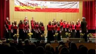 Ulmer Spatzen Chor  We beseech thee [upl. by Adikam]