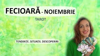 FECIOARĂ NOIEMBRIE Descoperiri amp Situații  Tarot  Zodii de PĂMÂNT  Horoscop [upl. by Ejrog]