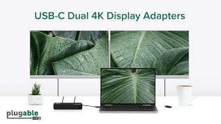 USBC and USB 30 Dual 4K DisplayPort and HDMI Adapters [upl. by Rubio]