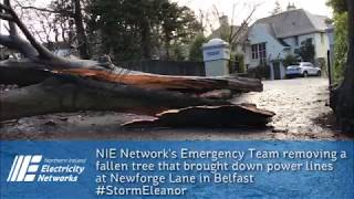 NIE Networks clearing up after Storm Eleanor [upl. by Oetomit]