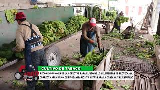 CAMBIO AGROPECUARIO Nº 1362  Ing DARÍO PIUMATTI  Jefe de Agronomía COPROTAB [upl. by Anatnahs658]