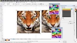 Index Color Separations in CorelDRAW [upl. by Yralih]