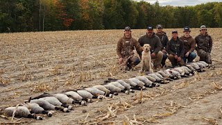 Small Silage Field Goose Hunt 6 MAN LIMIT [upl. by Mckenzie599]