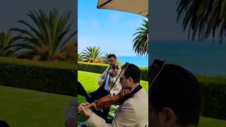 Enchanted Taylor Swift  Enchanted String Quartet in Malibu taylorswift wedding [upl. by Schilling]