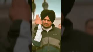 High level crowd ni 😈  sidhumoosewala ❤️ Punjabi song shorts  295 legend music [upl. by Aramanta]