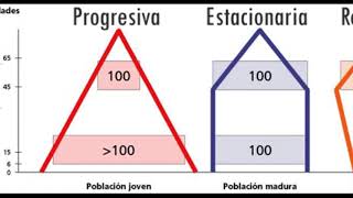 Como hacer una pirámide de población 2018 [upl. by Anelat]