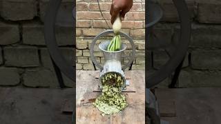 Meat Grinder VS Vegetable Experiment [upl. by Idaline]