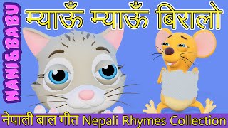 Meow Meow Biralo  Myau Myau Biralo  Nepali Rhymes Collection  लोक प्रिय नेपाली बाल गीत [upl. by Ozneral700]