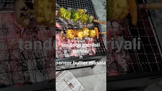 youtube tandoori paneer tikka 🤪😜💯👍👌😋😍😍👌 [upl. by Eniksre]