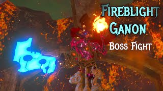 Fireblight Ganon  Boss Fight [upl. by Michale]