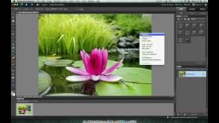 How to Create a Vignette in Photoshop Elements Easy [upl. by Snider850]