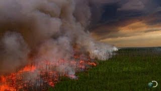 Filming a Raging Forest Fire  North America [upl. by Onifur]