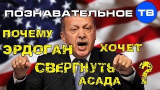 Почему Эрдоган хочет свергнуть Асада Познавательное ТВ Артём Войтенков [upl. by Lakim]