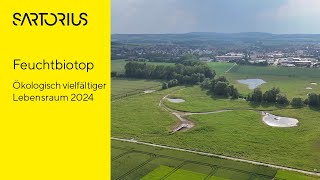 Feuchtbiotop in Göttingen 2024 Ökologisch vielfältiger Lebensraum [upl. by Eatnahs]