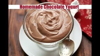 Homemade Chocolate Yogurt [upl. by Graner]