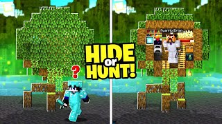 Minecraft Hide or Hunt But in a Secret Mangrove Swamp TREE Base [upl. by Cumine]