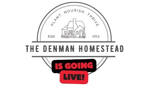 The Denmans Are Going Live  6pm CST [upl. by Akinihs]