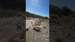 102624 hike New Mexico a ravinewash in desert floor on way to mountain climb desert nature [upl. by Vershen580]