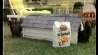 Dachshund comercial Kibbles n Bits n Bits n Bits  Weiner Dog 1986 [upl. by Luna]