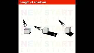 P4 MCQ 4 Shadows Rosyth Pri 2023 DAY11Singapore Primary 4 MOE Science [upl. by Aleirbag466]