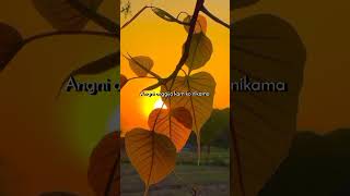 Nang bochi 💝  New Garo song whatsapp status 🌹 [upl. by Stilla]