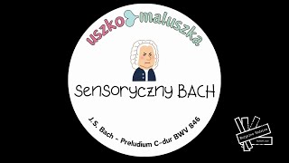 đź‘¶đźŹ»đź‘‚USZKO MALUSZKAđź‘‚đź‘¶đźŹ»  Sensoryczny Bach [upl. by Adoh]