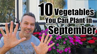 10 Vegetables to plant in September IN ANY CLIMATE [upl. by Karsten]