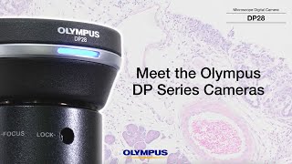 Meet the Olympus DP Series Cameras [upl. by Ogilvy]