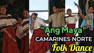 quotANG MAYAquot  CAMARINES NORTE FOLK DANCE [upl. by Aivital]