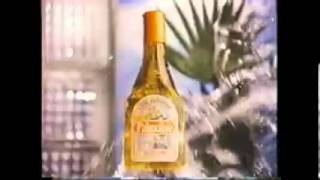 Palmolive Commercial 1980s [upl. by Atnek]