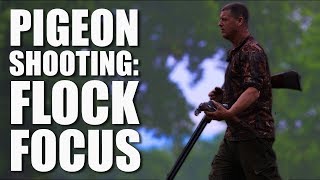 Pigeon Shooting Flock Focus [upl. by Fons]