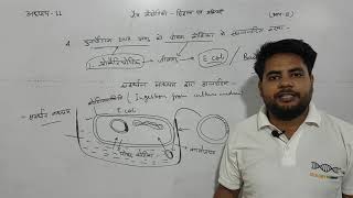 अध्याय11 जैव प्रौद्योगिकी भाग8  chapter 11 biotechnology biology class 12 [upl. by Thurston551]