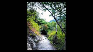 Margalla hillsTrail5 islmabad [upl. by Notlit404]