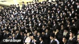 Fantastic Hasidic Dance [upl. by Nnylrahc623]