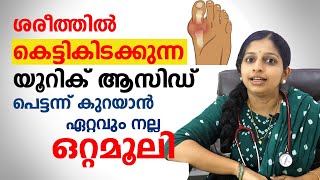 മുഖക്കുരു Acne Pimples പെട്ടെന്ന് മാറാനും കലകൾ പോകാനും ഇതാണ് വഴി [upl. by Fry]