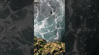 Catch amp Cook Fish in Tide Pools fishing catchandcook tidepools fishingvideo [upl. by Latsirc]