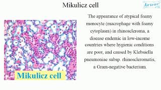 Mikulicz cell English  Medical terminology for medical students [upl. by Adnohser]