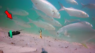 Attached an Underwater Camera to my Fishing Line How Fish React [upl. by Marcel585]