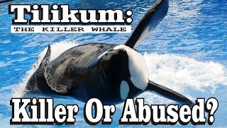 TILIKUM Serial Killer Killer Whale [upl. by Petulah]