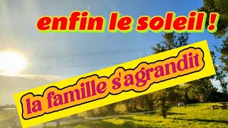 La famille sest agrandie  nomad vanlife salamdre [upl. by Ahsaet160]